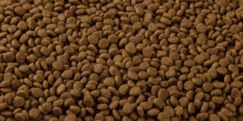 Cat dry food, brown background. The harvesting concept is veterinary. Copy space.