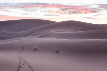 Fototapeta na wymiar Dune al tramonto