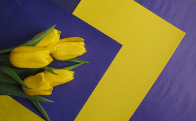Yellow fresh tulips in a bouquet on a yellow and violet background. Greetings, celebration, romance concept. Copy space for your text