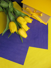 Yellow fresh tulips in a bouquet and a gift box on a yellow and violet background. Greetings, celebration, romance concept. Copy space for your text