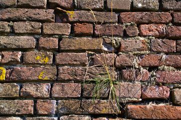 Mauer, Alt, Wand, Moos, Stein, Backstein,