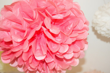 paper flower. beautiful, delicate pompom. decoration for the interior.
