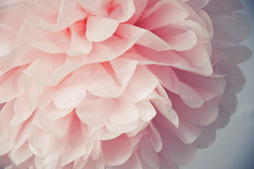 paper flower. beautiful, delicate pompom. decoration for the interior.