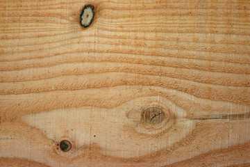 Douglas fir tree sawn timber plank