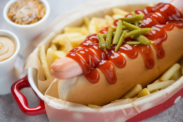 Close-up of hot-dog served with ketchup, pickles and french fries, selective focus, studio shot