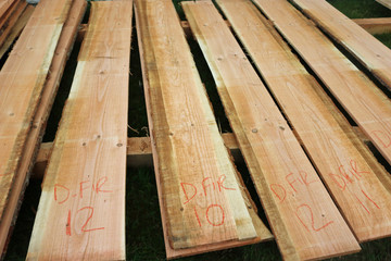 Douglas fir tree sawn timber planks