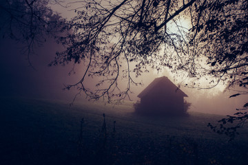 Spooky background with dark forest view with old house - 331717888
