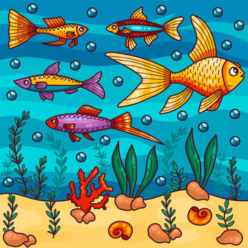 Aquarium sea buttom golden fish vector illustration