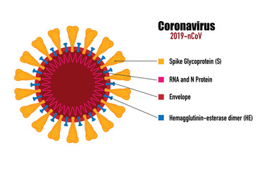 Coronavirus 2019-nCoV. Corona virus icon. Full Color Coronavirus in white background isolated. China pathogen respiratory infection (asian flu outbreak). influenza pandemic. 