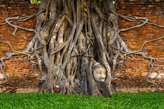 Asia, Ayuthaya, Thailand, Wat Phra Mahathat, Ancient