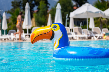 Empty float ring in toucan shape on the blue swimming pool © Patryk Kosmider