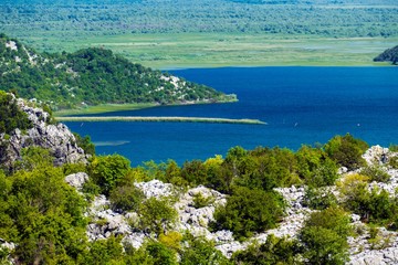 Naklejka premium forest