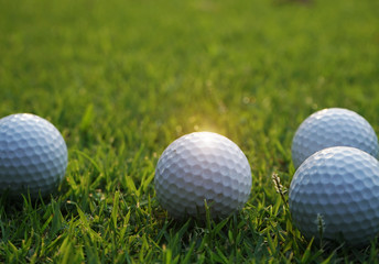 Golf ball on green in beautiful golf course at sunset background.