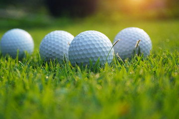 Golf ball on green in beautiful golf course at sunset background.