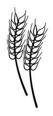 Cartoon style isolated wheat in black lines on white background
