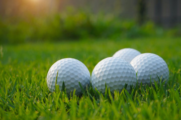 Golf ball on green in beautiful golf course at sunset background.