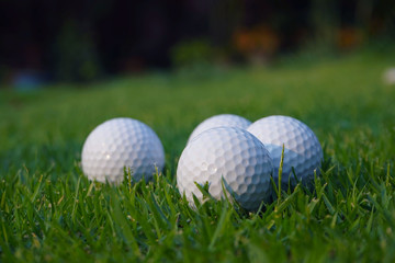 Golf ball on green in beautiful golf course at sunset background.