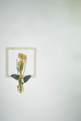 Dried flower with frame on wall 