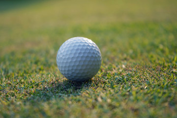 Golf ball on green in beautiful golf course at sunset background.