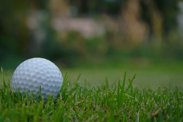 Golf ball on green in beautiful golf course at sunset background.