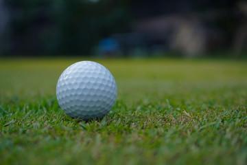 Golf ball on green in beautiful golf course at sunset background.