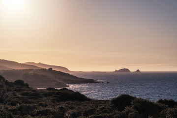 Fototapeta na wymiar Evening sun on Ile Rousse and coast of Corsica