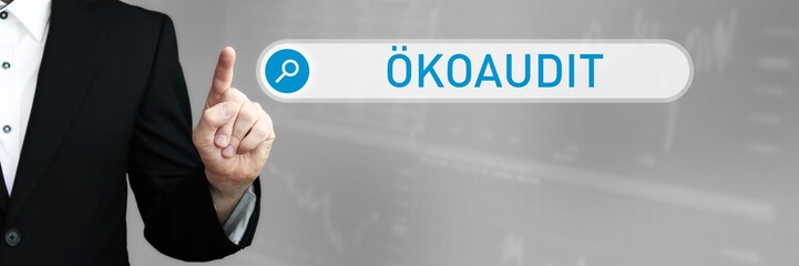 Ökoaudit. Mann im Anzug zeigt mit dem Finger auf ein Suchfeld. Das Wort Ökoaudit steht in der Suche. Symbol für Business, Finanzen, Statistik, Analyse, Wirtschaft