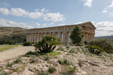 Fototapeta na wymiar Ancient Doric temple of Segesta hidden behind the trees and rocks in nice sunny day