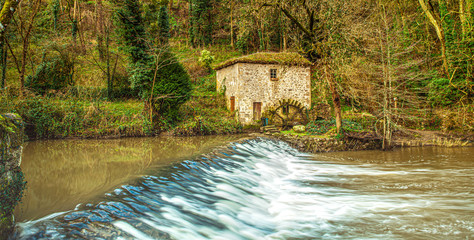 Old watermill house in the forest at the river © Alice_D