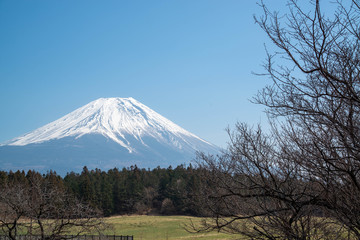 Obraz premium 広場と富士山 快晴の空