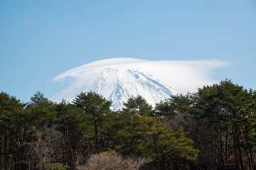 笠雲のかかる富士山　樹海