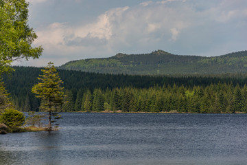 Landscape of dam and above it mountain with forest. Summer green landscape and water surface.