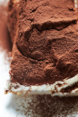 Tiramisu cake on white plate