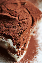 Tiramisu cake on white plate