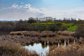 Laguna Miralrio en Velilla de San Antonio