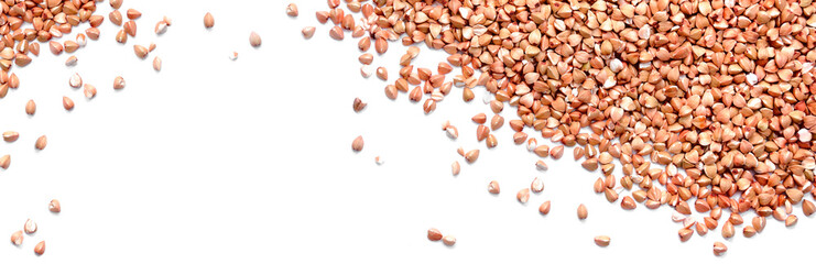 Brown buckwheat groat isolated on white. Panorama.