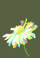 single Daisy flower on brown background