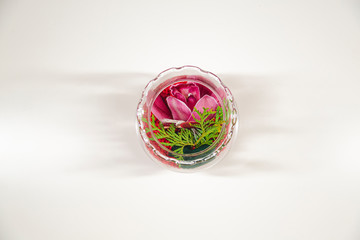 flor dentro de cuenco vasija de cristal 