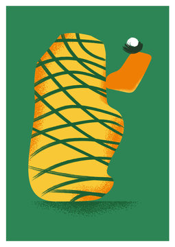 Cactus 4