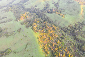 Early morning sunlight shines on the green hills of the East Bay in Northern California. This open area, east of San Francisco Bay, is green in the winter due to rain and golden during the summer.