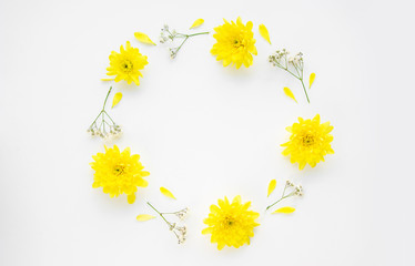 chrysanthemum gypsophila flowers on a white background
