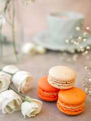 Fototapeta na wymiar Macaroons and white rose flowers and a Morning cup of coffee