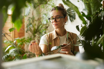 Young botanist in eyeglasses holding branch of decorative plant in her hand and examining it - obrazy, fototapety, plakaty