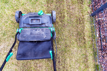 spring scarifying the lawn