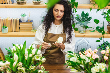 Obraz premium Attractive young woman florist is working in a flower shop.