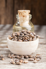 Castor oil and seeds on wood, space for text