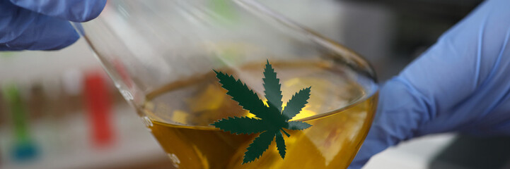 Close-up view of laboratory assistant hands holding vessel with liquid cannabinoid oil. Glass...