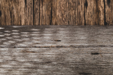 Naklejka premium Old wood texture, space for text, close-up