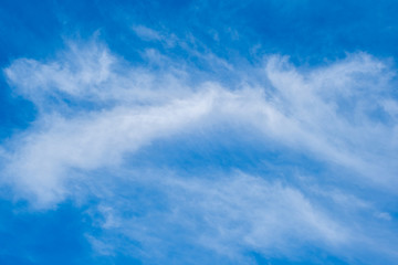 blue sky horizontal with beautiful puffy fluffy clouds with sunlight, abstract nature background