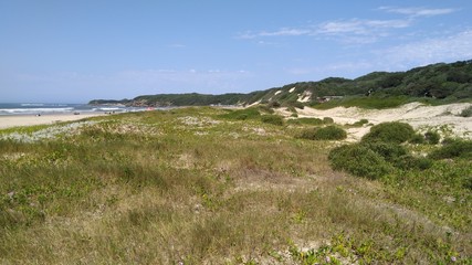 Küste Sanddünen Dünenlandschaft Südafrika